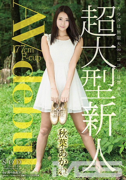 秋葉あかね AV debut