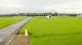 地元にマジックミラー号が来てロケをやっていたのでのぞきにいってみるとなんとそこには憧れの唯井まひろちゃんが!? 突然大好きなAV女優と2人きり!ハッピーサプライズ童貞… 唯井まひろサンプル画像2