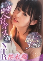 
                        年の離れた姉の旦那を濃密ベロキス逆NTR 実家でじっとり汗だく接吻交尾しまくった3連休 柊木楓
    