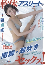 
                        軟体アスリートのすんげえ恥ずかしい開脚・潮吹きセックス！ 新海咲
    
