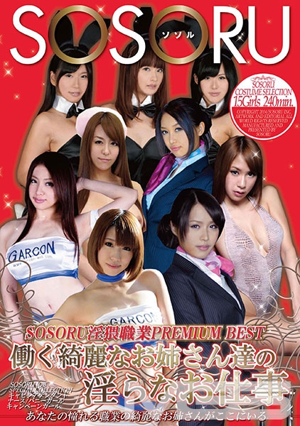 SOSORU淫猥職業PREMIUM BEST 働く綺麗なお姉さん達の淫らなお仕事