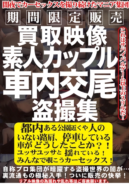 買取映像 素人カップル車内交尾盗撮集