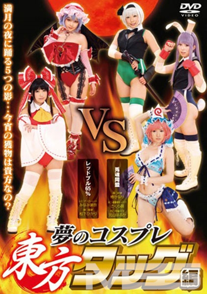 夢のコスプレ東方タッグ編