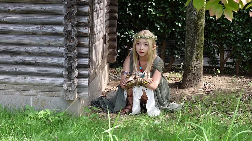 異世界からの妖精エルフ 画像1