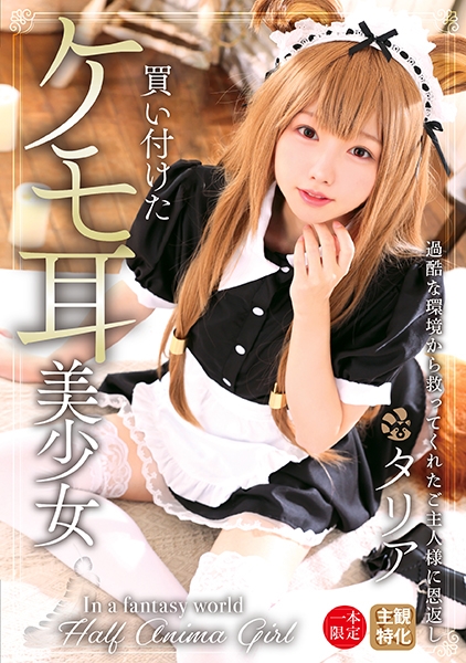 買い付けたケモ耳美少女