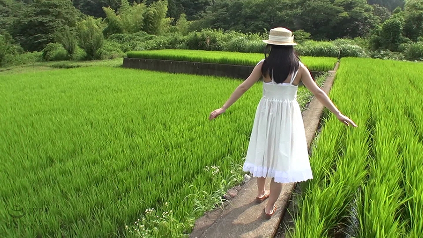 「003IBWX-646ZA 夏の田舎 あべみかこ」のパッケージ画像