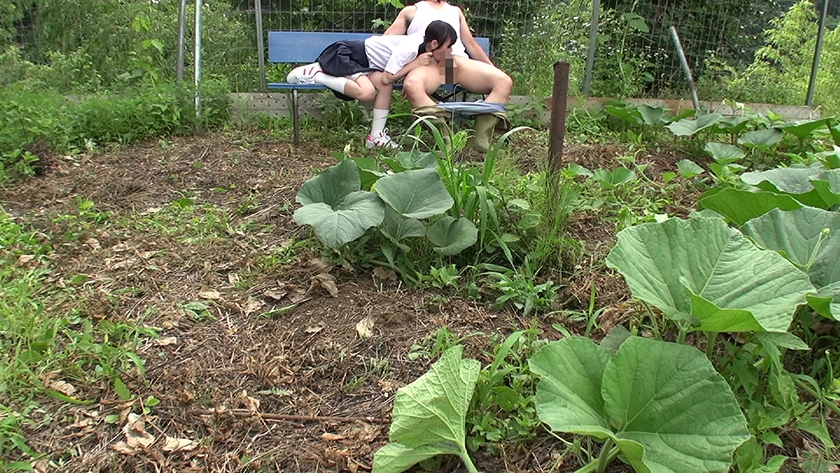 サンプル画像 8