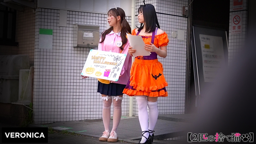 <h5>
                        <a href=