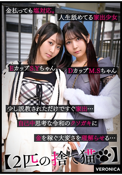 S.Y.&M.S.