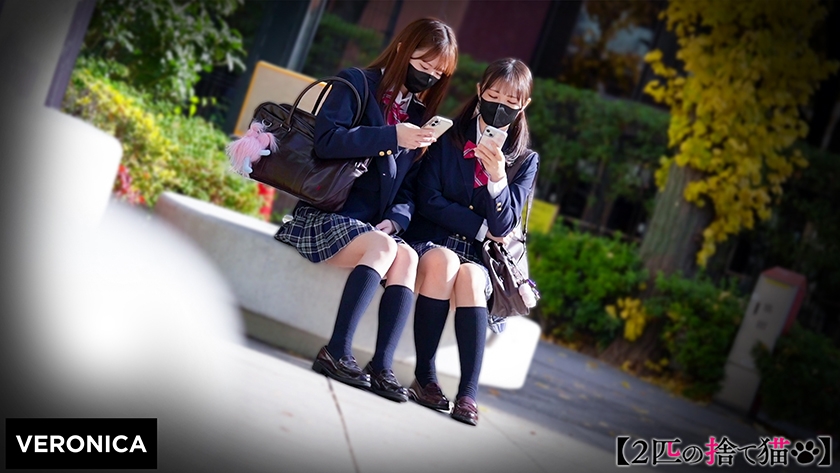 A.S.&K.M. 画像1