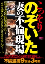 
                        こっそりのぞいた 妻の不倫現場
    