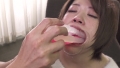 223DFE-040 サンプル画像2