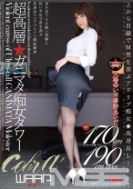 
                        超高層！ガニマタ痴女タワー 大場ゆい
    