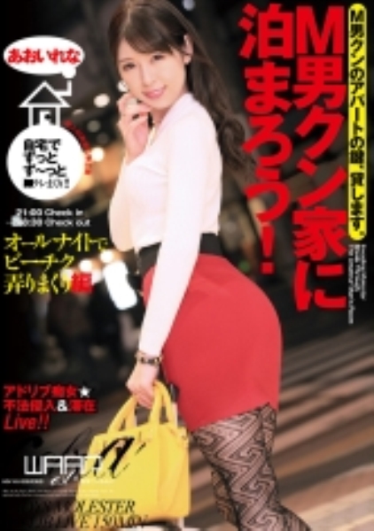 M男クン家に泊まろう! あおいれな